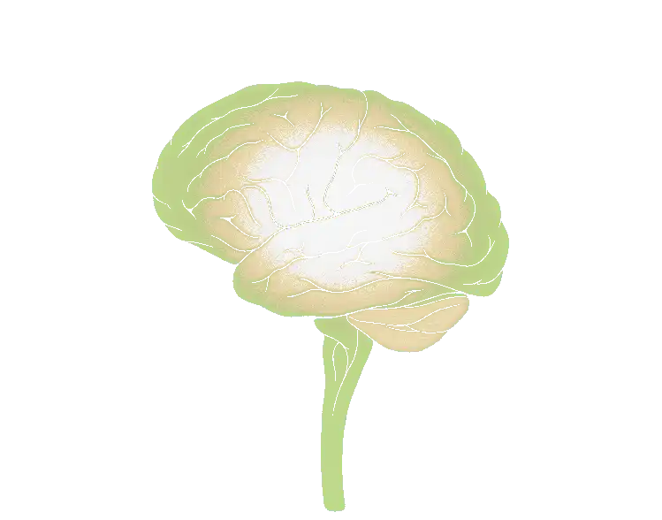 Brain Rot map