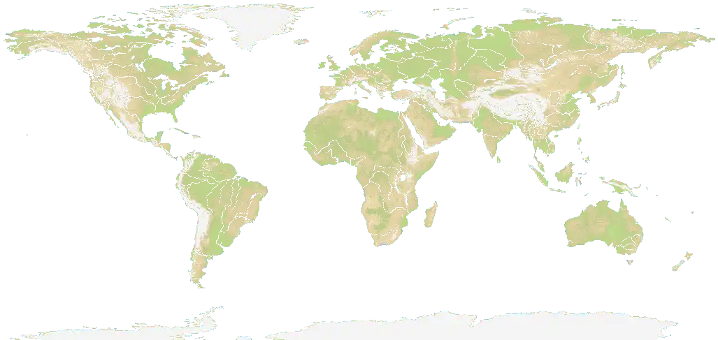 Giant World Map map