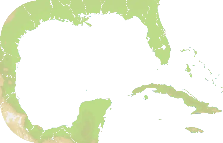 Gulf Of Mexico map