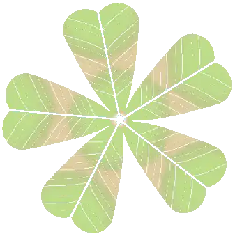 More Than Luck map