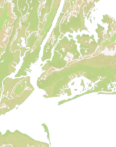 New York City map